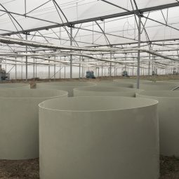 Sudura in plastic bazine apa irigatii