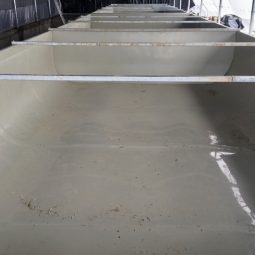 Sudura in plastic bazine ferma piscicola