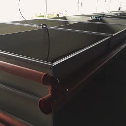 Sudura in plastic bazine piscicole (fish farm)